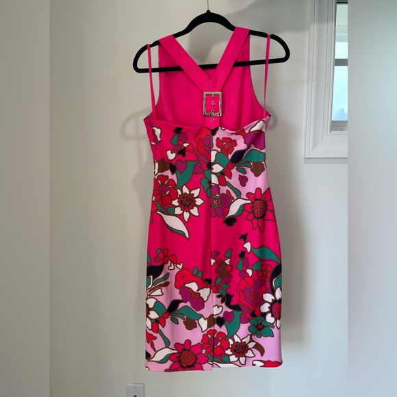 Ted Baker Dress - Picture 4 of 4